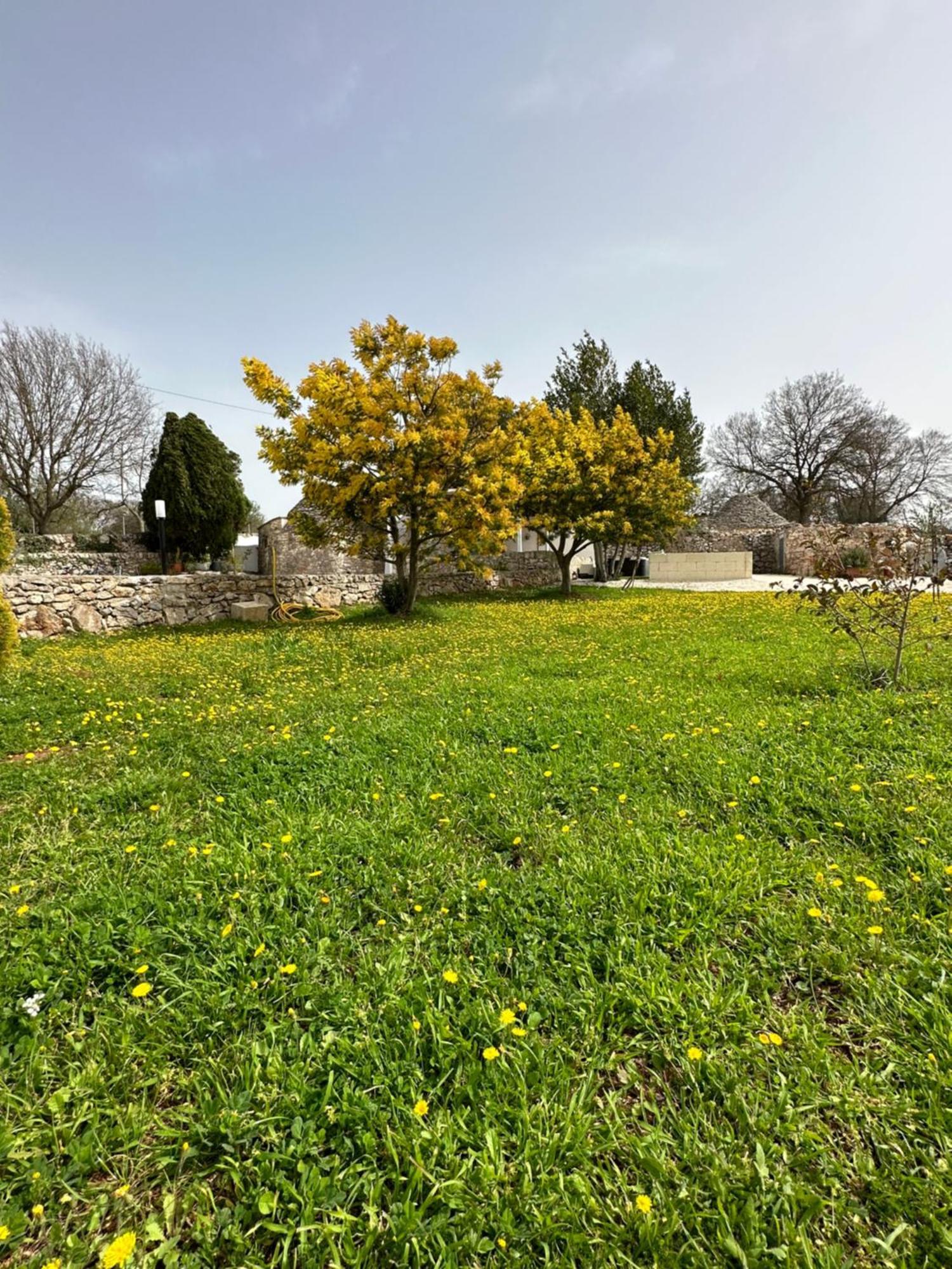 Вілла Trulli In Contrada Ночі Екстер'єр фото